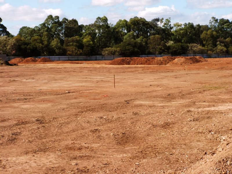 Bushes Clearing in Atlanta, GA
