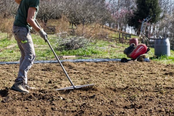 Earthwork Leveling Service